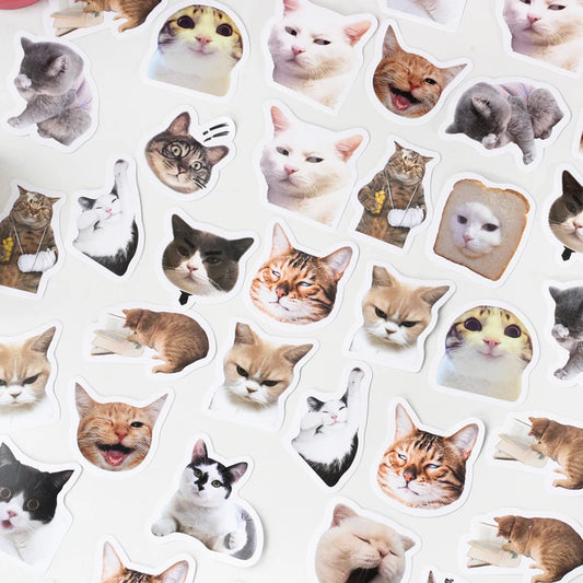 46pcs Cat Stickers for Suitcase, Skateboard, Luggage, Laptop, Phone, DIY Decoration, School Supplies, Toys