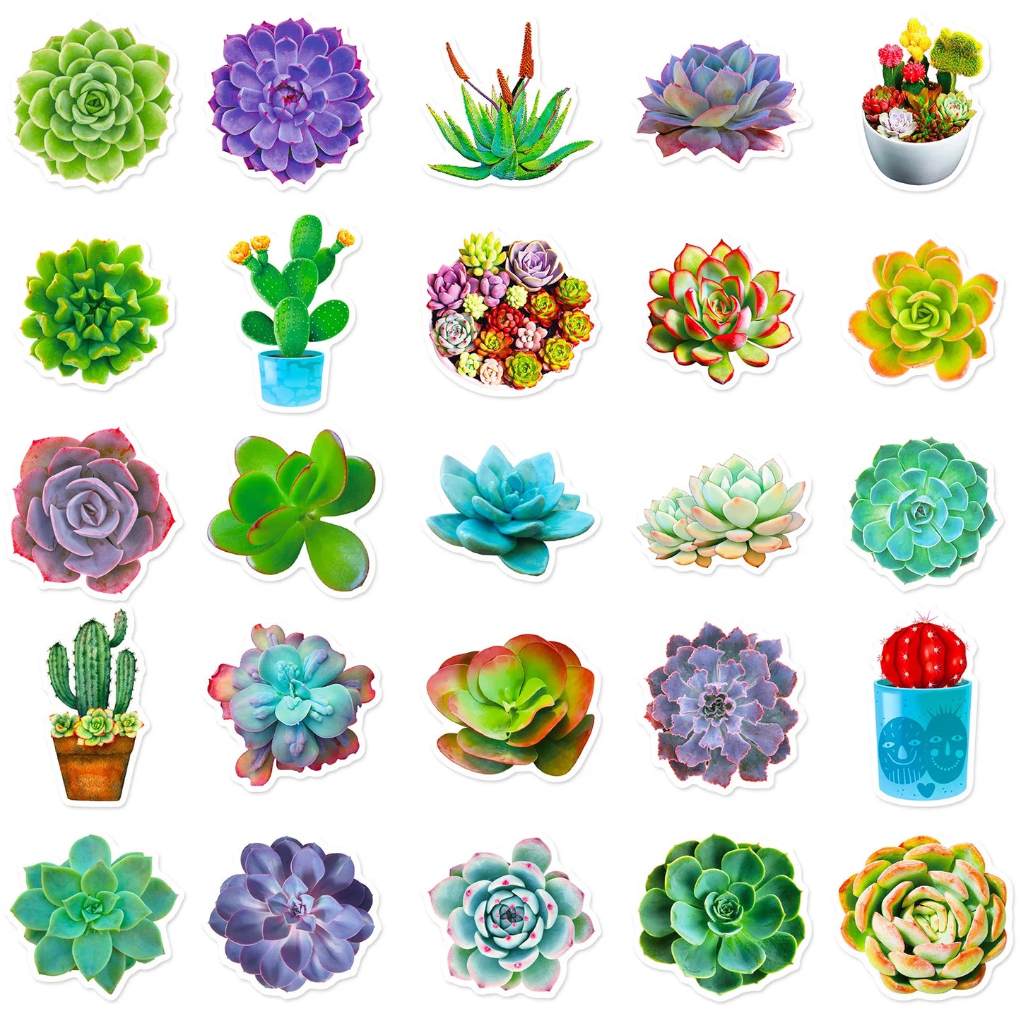 10/30/50PCS Cute succulent potted plant stickers DIY Graffiti Decal for Phone Luggage Laptop Scrapbook Waterproof Toy Gift Art