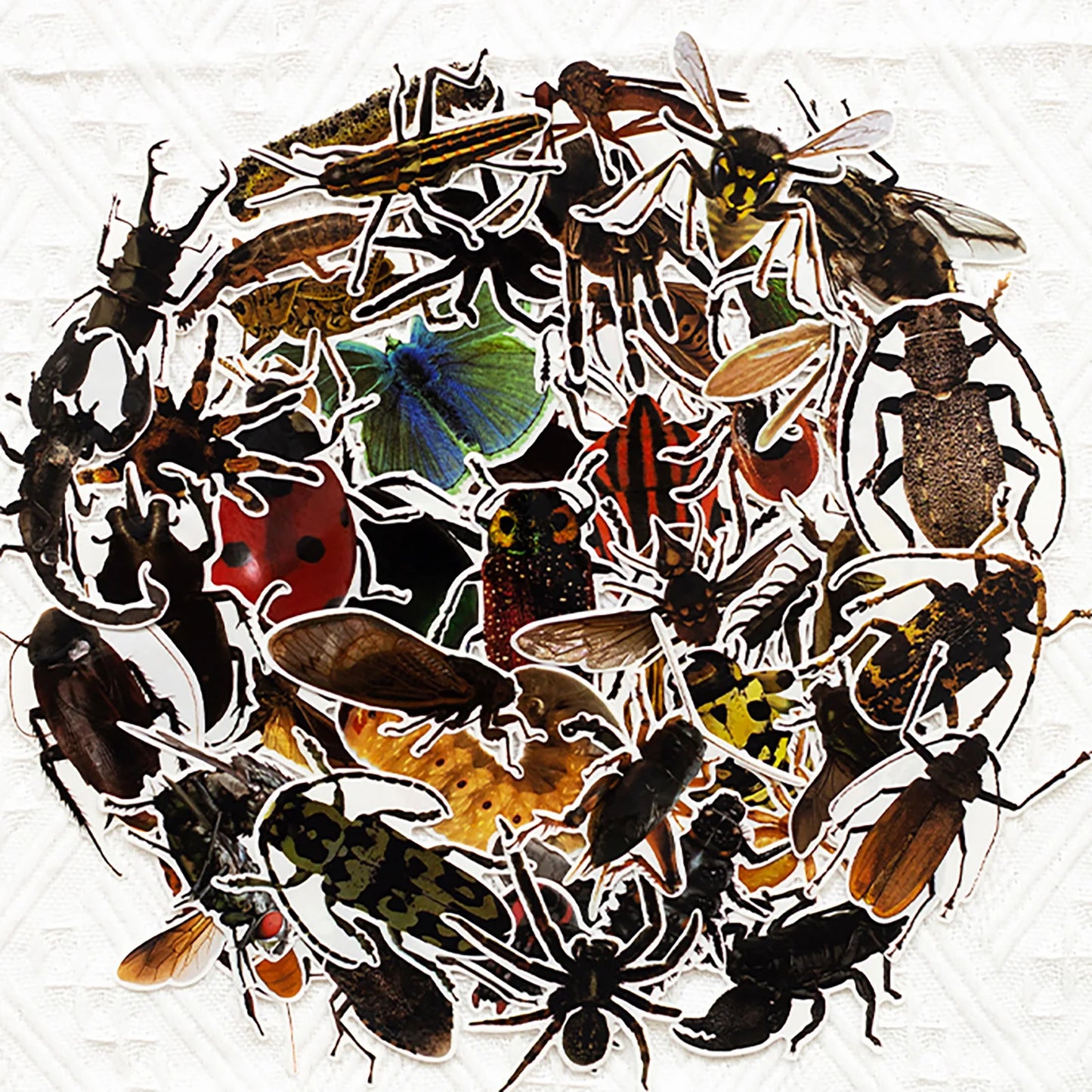 10/30/50PCS Mixed Insects Transparent Sticker Cartoon Graffiti DIY Scrapbook Stationery Laptop Guitar Bike Skateboard Decal Toy