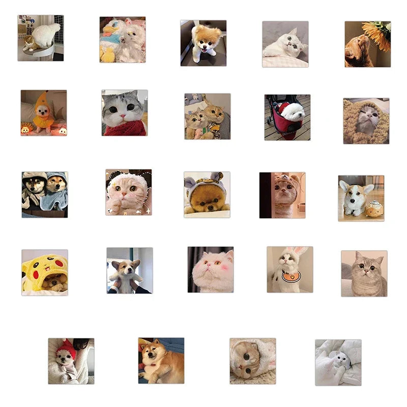 10/30/48PCS Cute Cat Dog Daily Sticker Aesthetic PVC Children's Decoration Korean Stationery Scrapbooking School Supplies