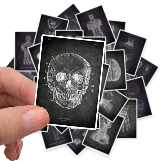 25pcs Anatomical Skeleton Chalkboard Stickers For Laptop PVC Water Bottle waterproof Decal Toy Medicine Student Gifts