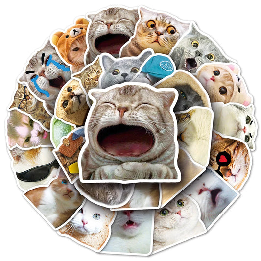 Cute Cat Meme Stickers Pack - Cartoon Animal Decals for Laptop, Phone, Scrapbook, Luggage, Kids Toy