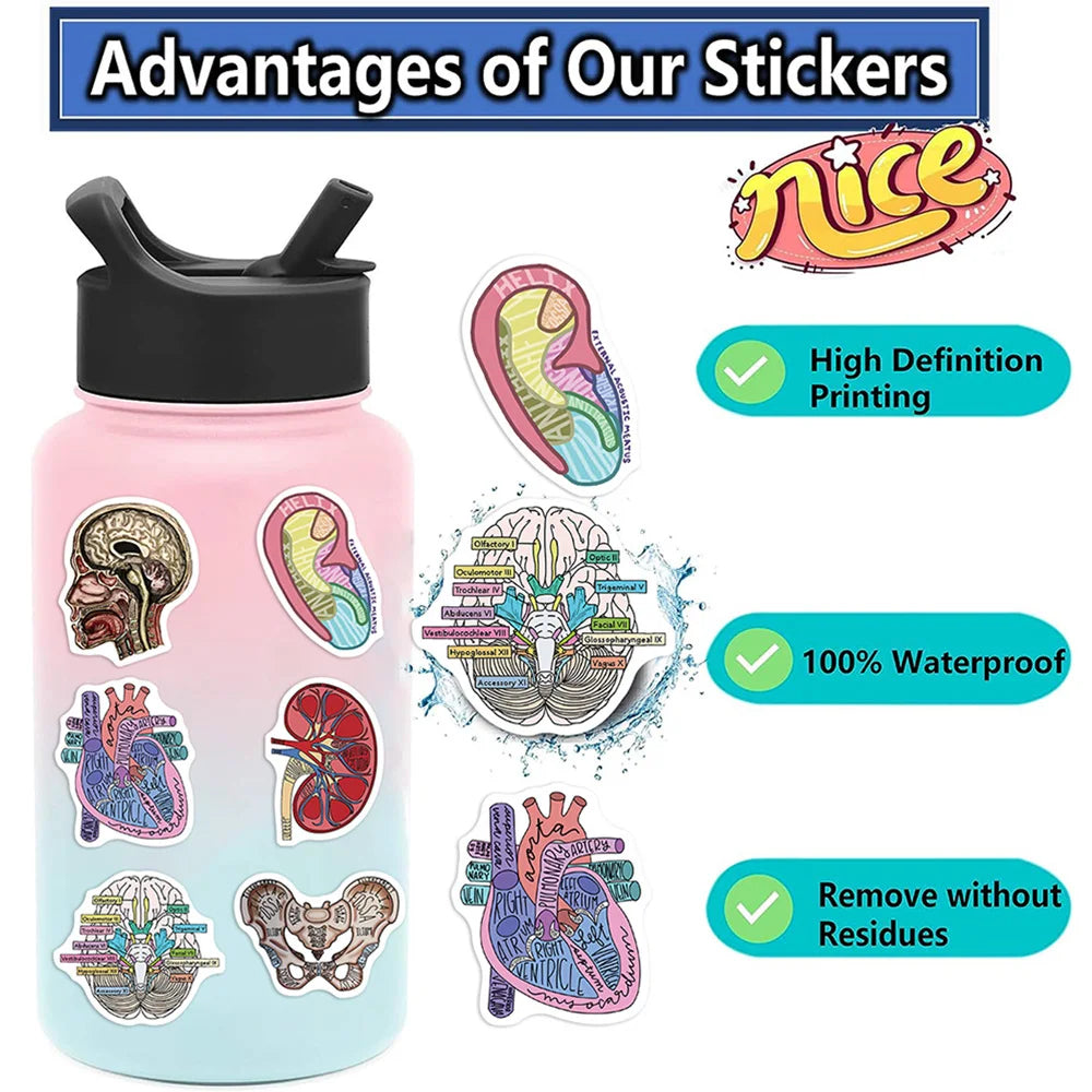 10/30/50PCS Funny Human Organ Medical Anatomy Stickers Cartoon Decals DIY Notebook Laptop Suitcase Stationery Waterproof Toys