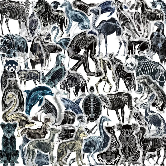 10/50pcs Cool X-ray Animals Skeleton Skull Stickers Transparent PET Decals Toy DIY Skateboard Phone Luggage Car Graffiti Sticker