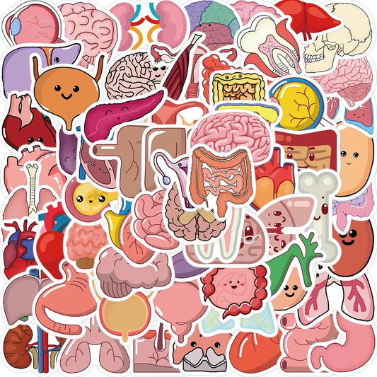 50pcs Cartoon Human Organs Stickers for Helmet, Wall, Desktop Decoration