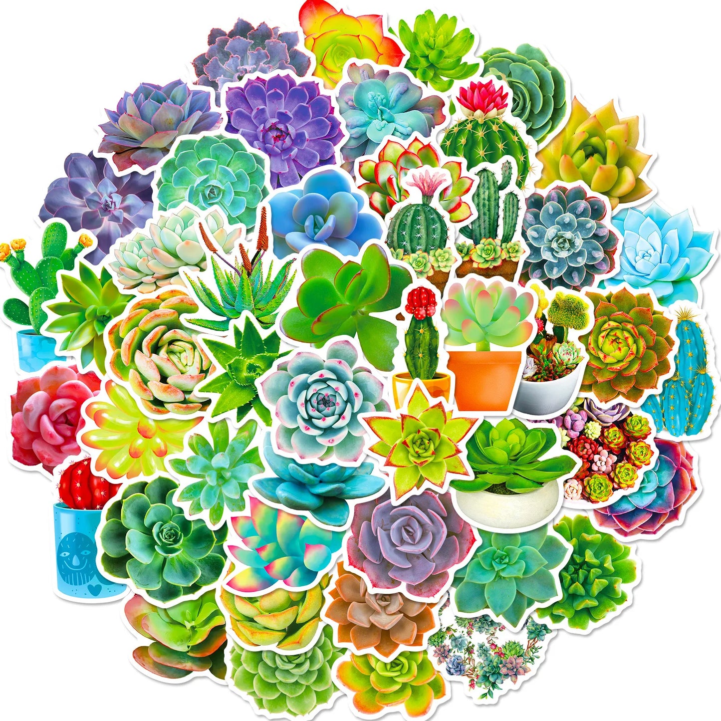 10/30/50PCS Cute succulent potted plant stickers DIY Graffiti Decal for Phone Luggage Laptop Scrapbook Waterproof Toy Gift Art