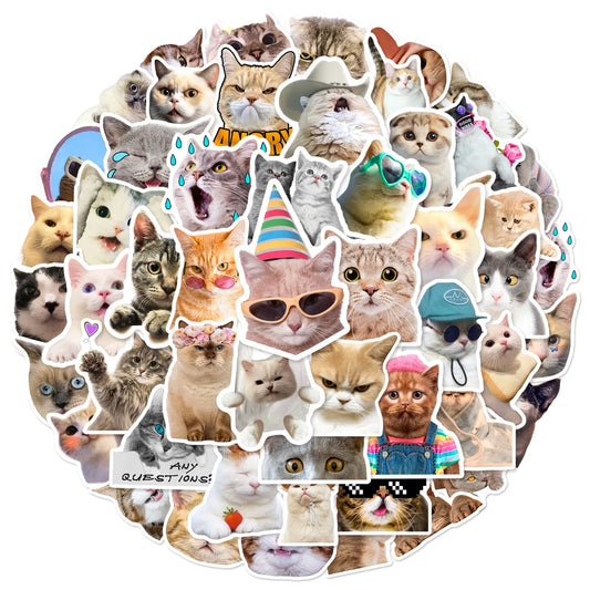 Funny Cat Meme Stickers for DIY Decor, Suitcase, Water Bottle, Phone, Laptop, Skateboard, Scrapbooking (10/25/50pcs)
