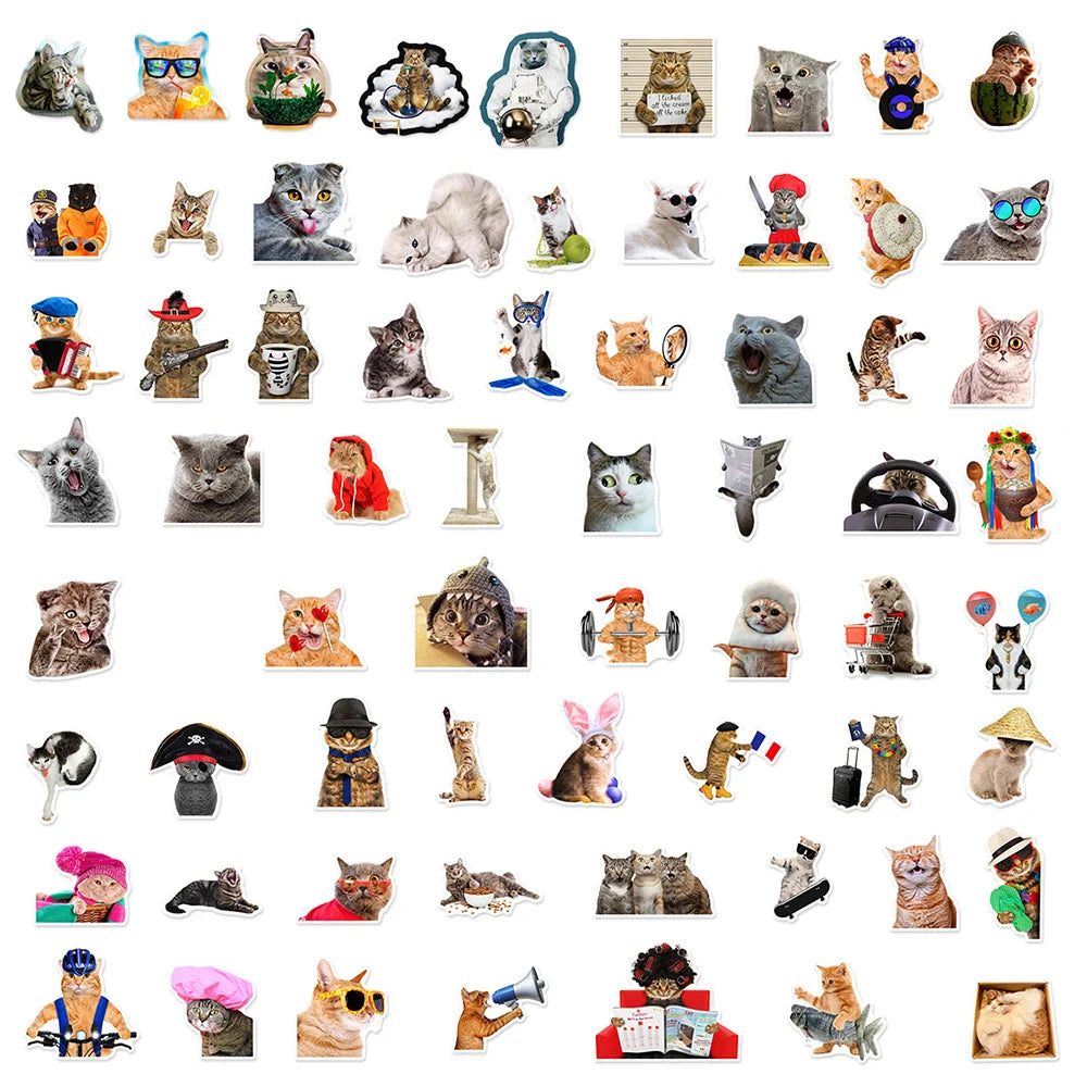 10/30/66PCS Funny Cat Stickers Cute Cartoon Decals Toys DIY Notebook Laptop Skateboard Luggage Phone Car Waterproof Kids Sticker