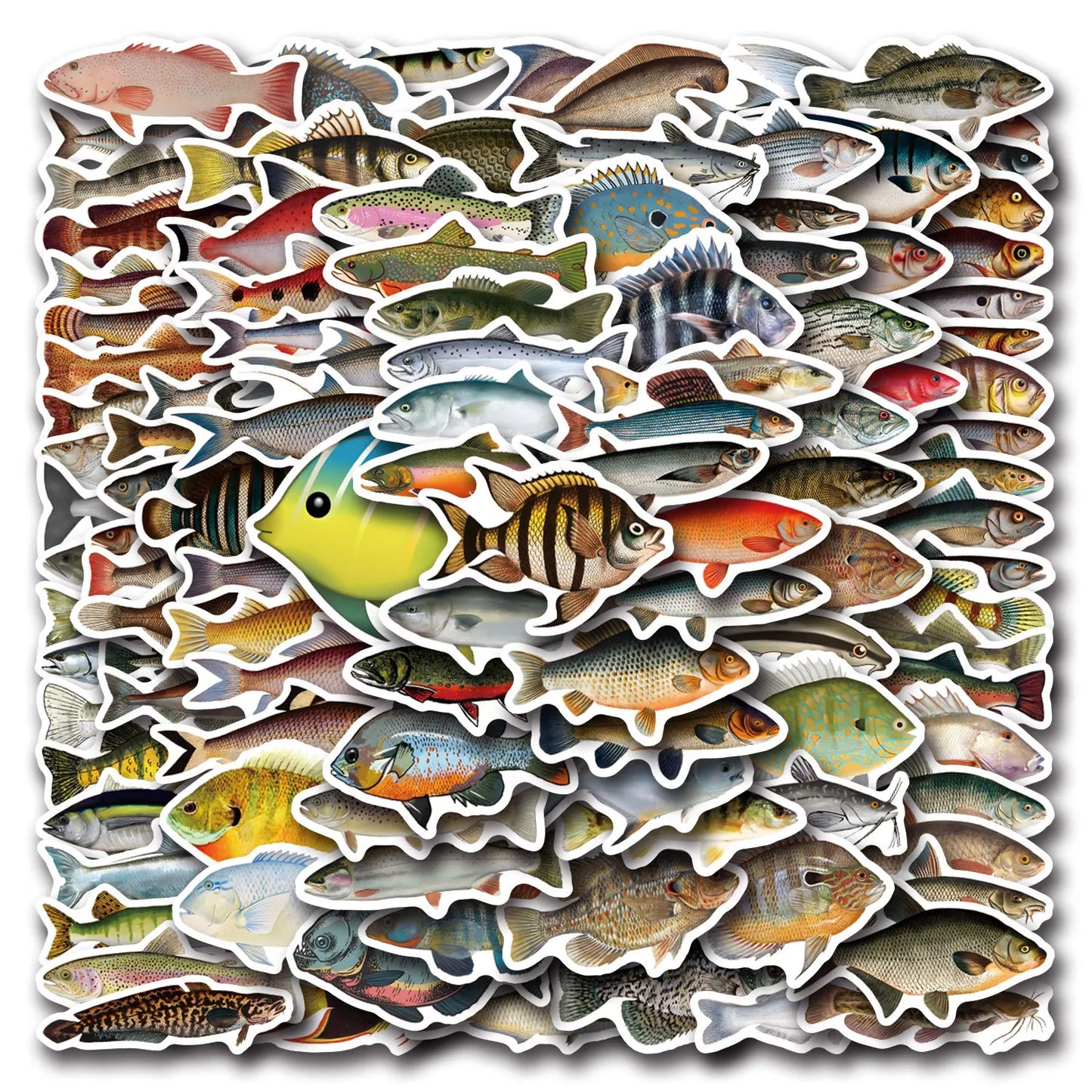 10/30/50/110PCS Realistic Fish Graffiti Stickers Aquatic Animal Sticker Kids Toys DIY Luggage Laptop Guitar Car Bike Skatboard