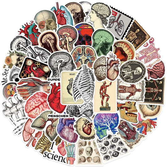 10/50pcs Vintage Human Organ Medical Anatomy Stickers Body Structure Decals DIY Laptop Diary Bottle Graffiti Waterproof Sticker