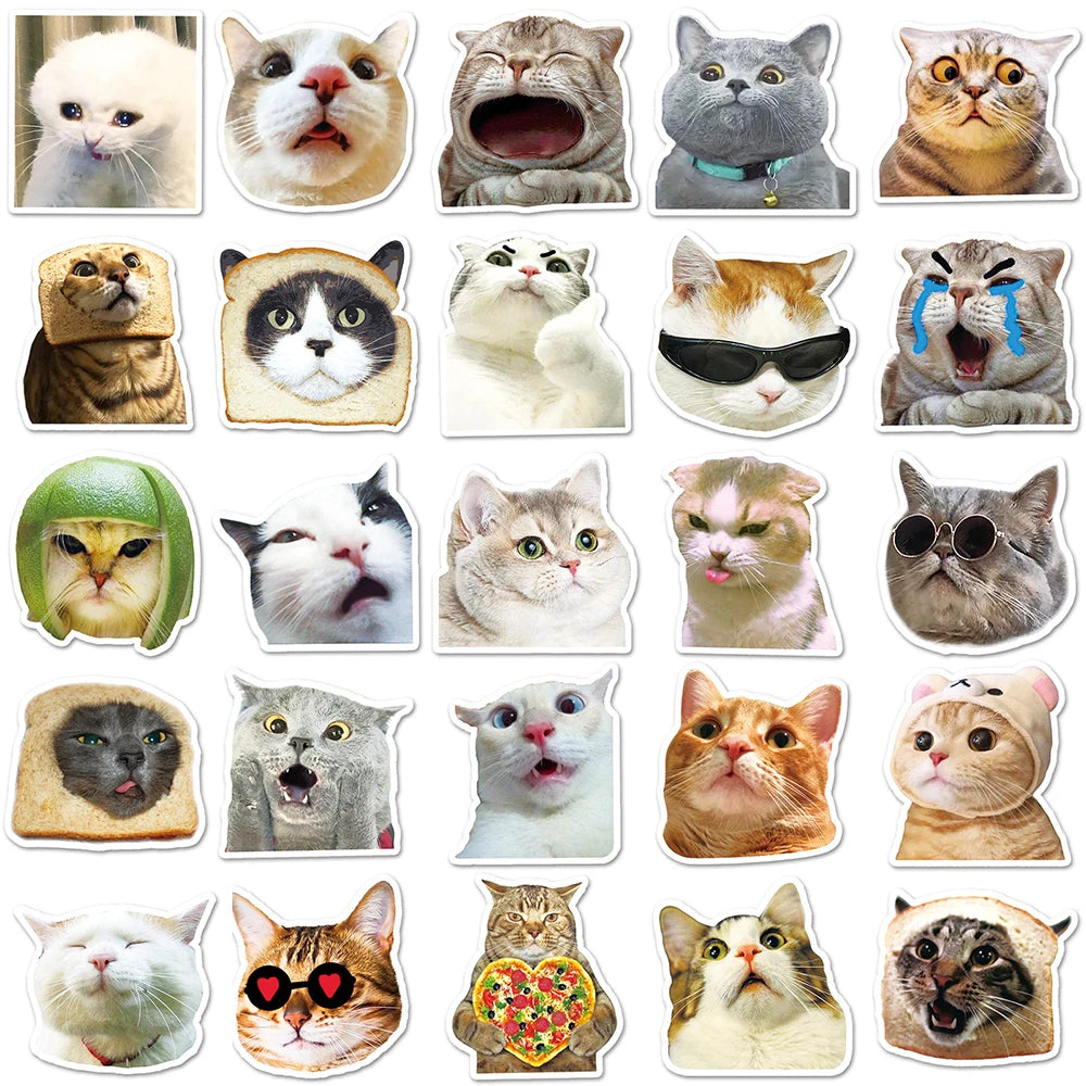 10/30/50PCS Funny Cute Cat Stickers Meme Kawaii Decals For Phone Notebook Laptop Phone Fridge Bike Graffiti DIY Waterproof Toys