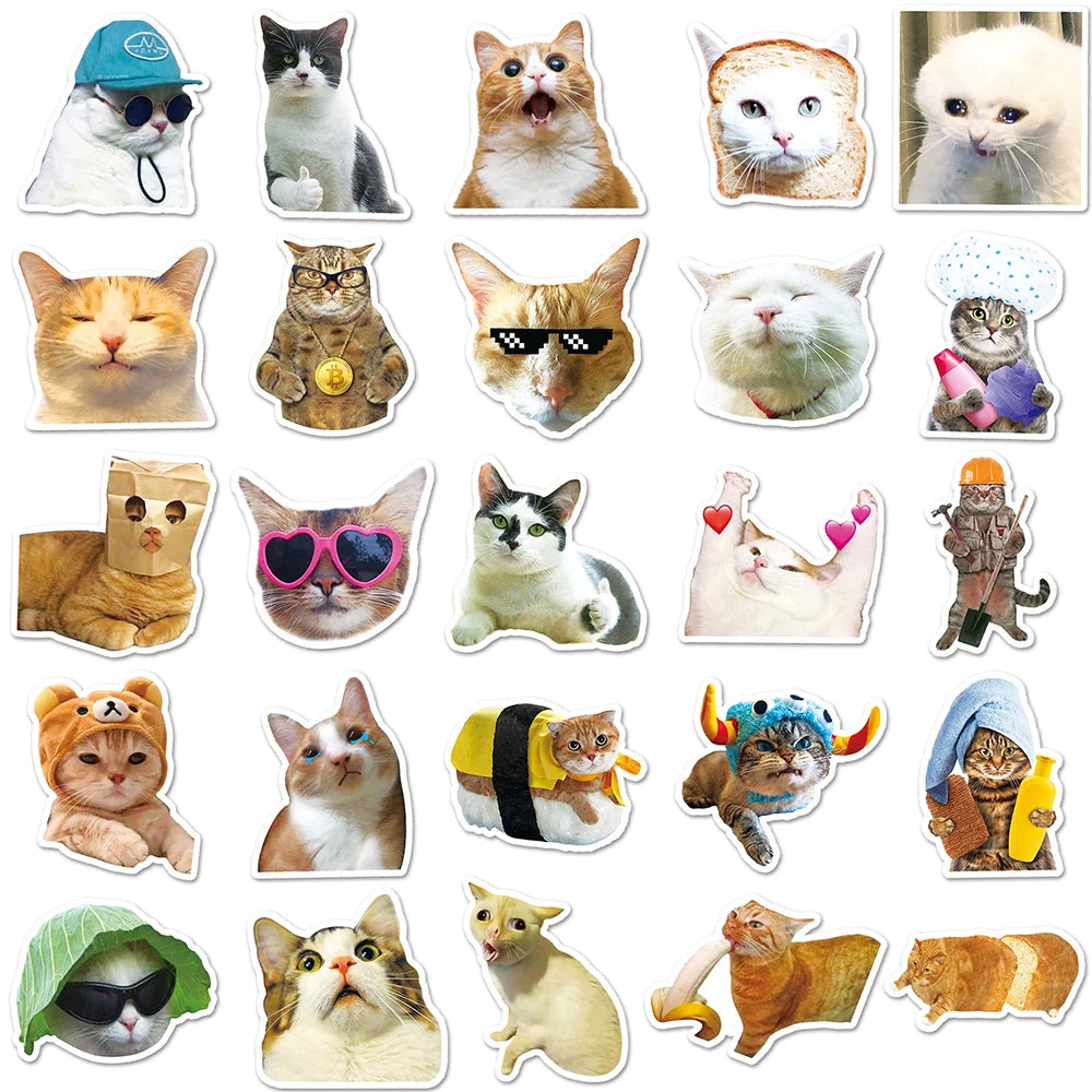 10/30/50PCS Funny Cute Cat Stickers Meme Kawaii Decals For Phone Notebook Laptop Phone Fridge Bike Graffiti DIY Waterproof Toys