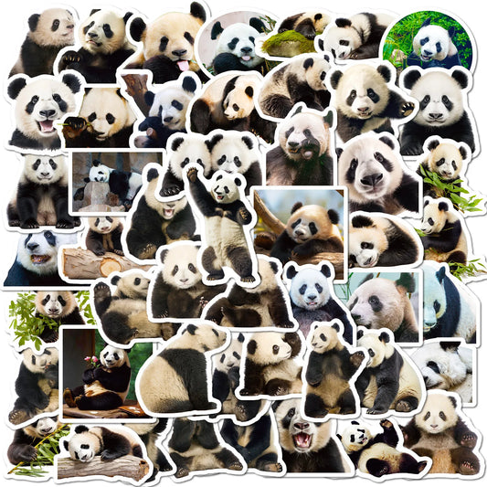 50Pcs Cute Panda Graffiti Stickers for Helmet, Wall, DIY Decoration
