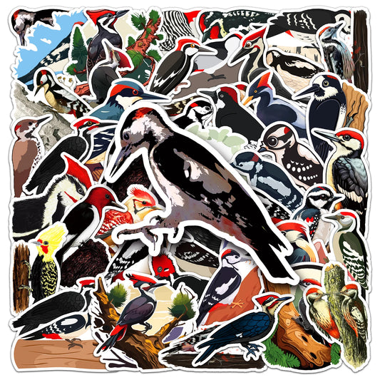 50 Cute Woodpecker Graffiti Stickers for Laptop, Guitar, Skateboard, Suitcase Decoration