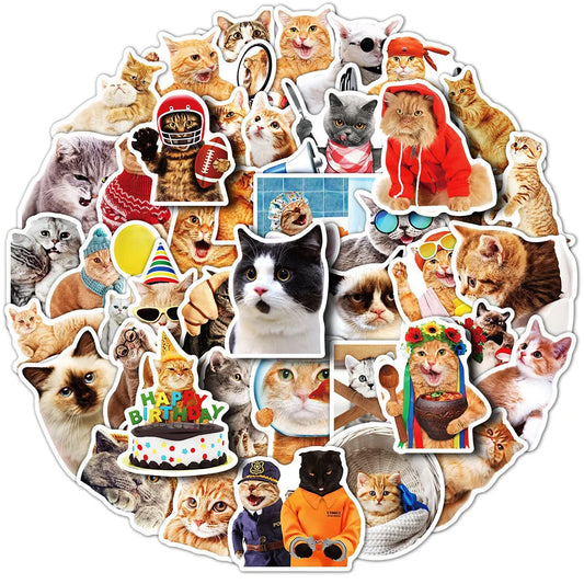 Funny Cat Animal Stickers Pack - Laptop, Luggage, Snowboard, DIY Decals