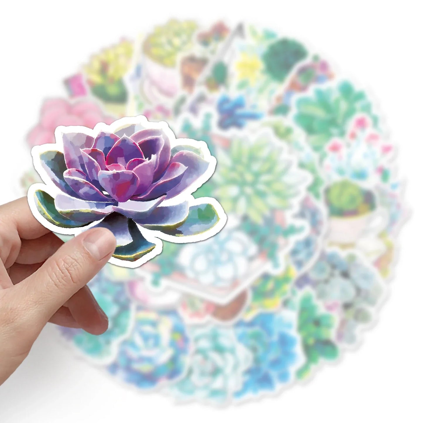 50pc Cute Succulent Cartoon Stickers for Laptop, Guitar, Skateboard, Suitcase Decoration