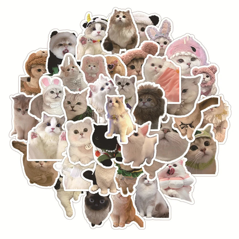 Kawaii Cat Stickers 10/30/60PCS for Laptop, Phone, Guitar, Car, Bike, Skateboard, Kids Toy