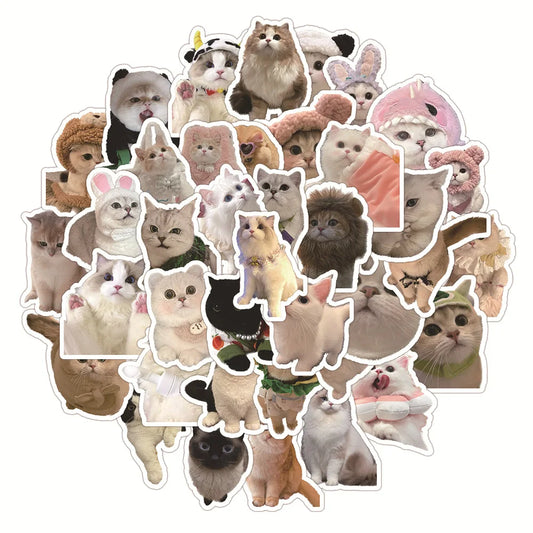 Kawaii Cat Stickers 10/30/60PCS for Laptop, Phone, Guitar, Car, Bike, Skateboard, Kids Toy