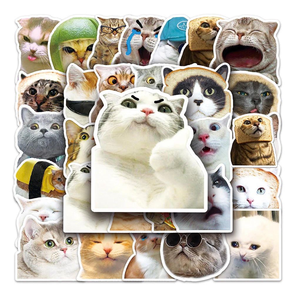 10/30/50PCS Funny Cute Cat Stickers Meme Kawaii Decals For Phone Notebook Laptop Phone Fridge Bike Graffiti DIY Waterproof Toys