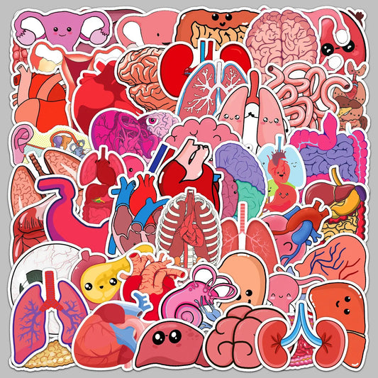 50pcs Cartoon Human Organs Stickers for Helmet, Wall, Desktop Decoration