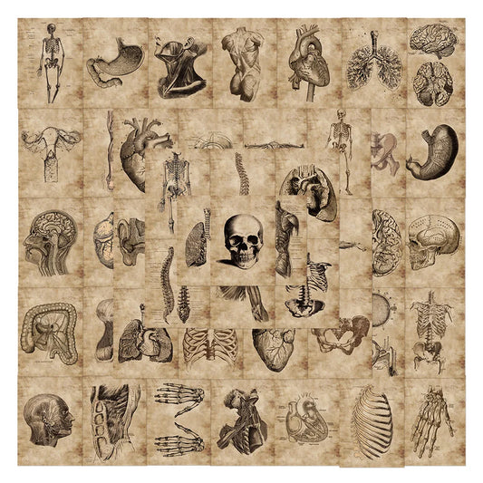 10/30/56pcs Anatomy and Physiology The Body Structure Stickers PVC Waterproof Toy Graffiti Skeleton Stickers For Luggage Decals