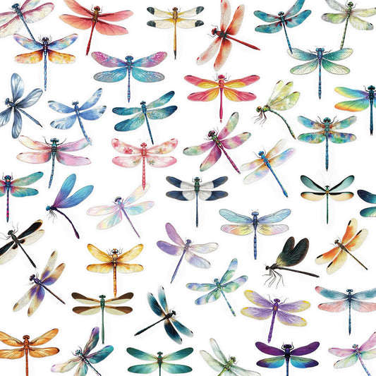 Dragonfly Stickers Set: Transparent Insect Decals 10/30/50PCS