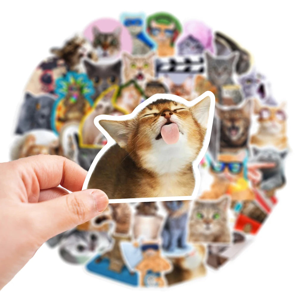 10/30/65PCS Kawaii Funny Cat Stickers Cute Cartoon Decals DIY Skateboard Phone Notebook Luggage Fridge Bike Car Sticker Kids Toy