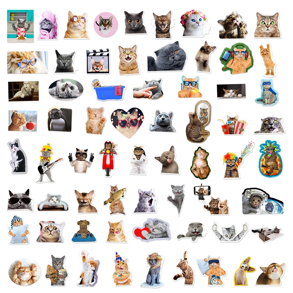 10/30/65PCS Kawaii Funny Cat Stickers Cute Cartoon Decals DIY Skateboard Phone Notebook Luggage Fridge Bike Car Sticker Kids Toy