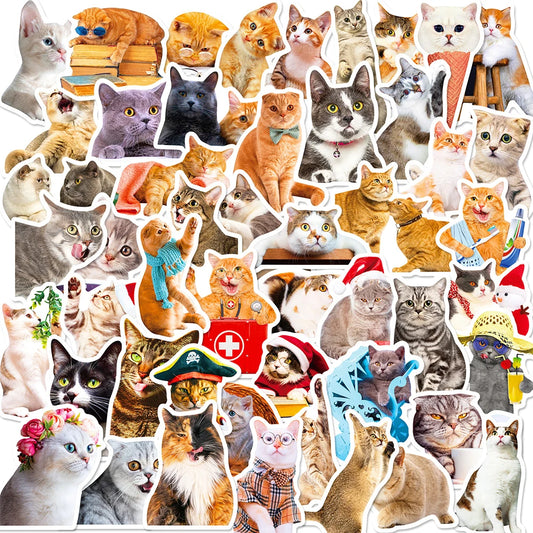 Cute Cat Cartoon Stickers - 10/30/50pcs for Laptop, Phone, Scrapbook, Fridge
