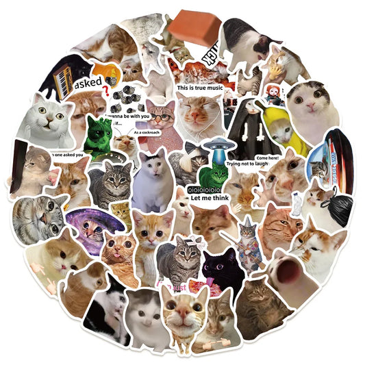 50Pcs Funny Cat Meme Stickers for Laptops & Water Bottles