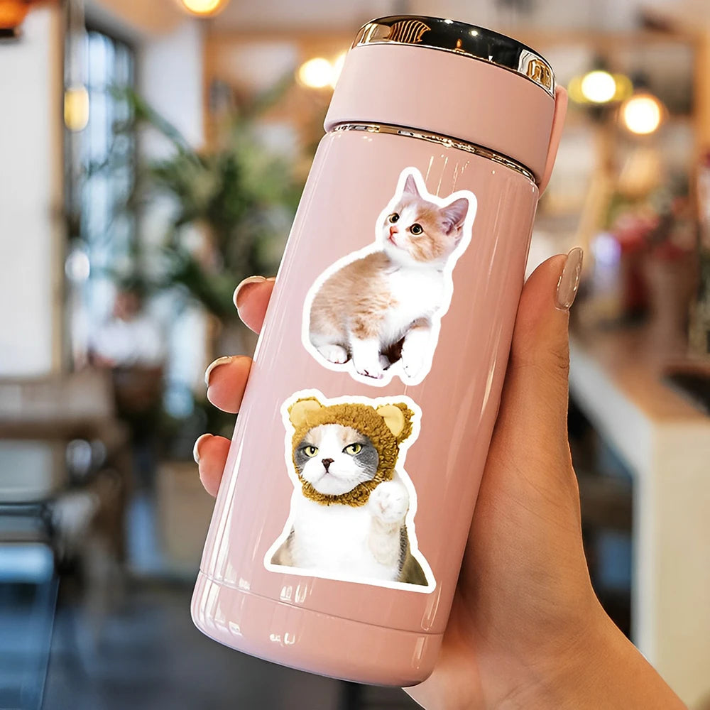 10/30/50PCS Cute Cat Cartoon Stickers Toys Graffiti Decoration Kids DIY Phone Notebook Laptop Fridge Car Funny Decals Waterproof