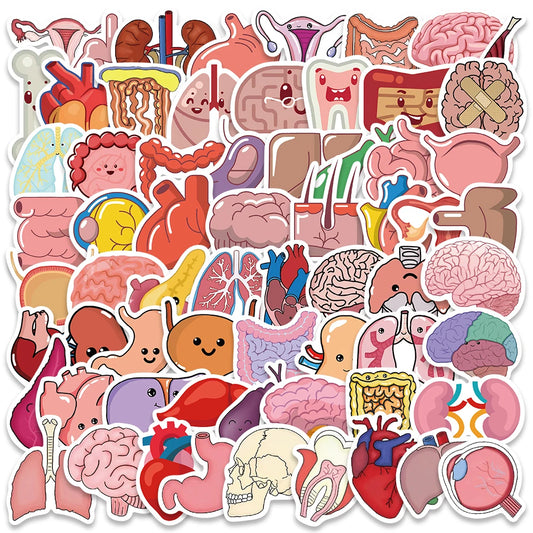 65PCS Cute Human Organ Anatomy Stickers Waterproof for Laptop, Bicycle, Guitar, Phone, DIY Graffiti