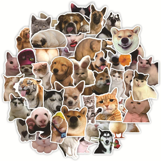 Funny Animal Cat Dog Meme Stickers Decal Pack - Waterproof for Skateboard, Laptop, Phone, Car, Motorcycle