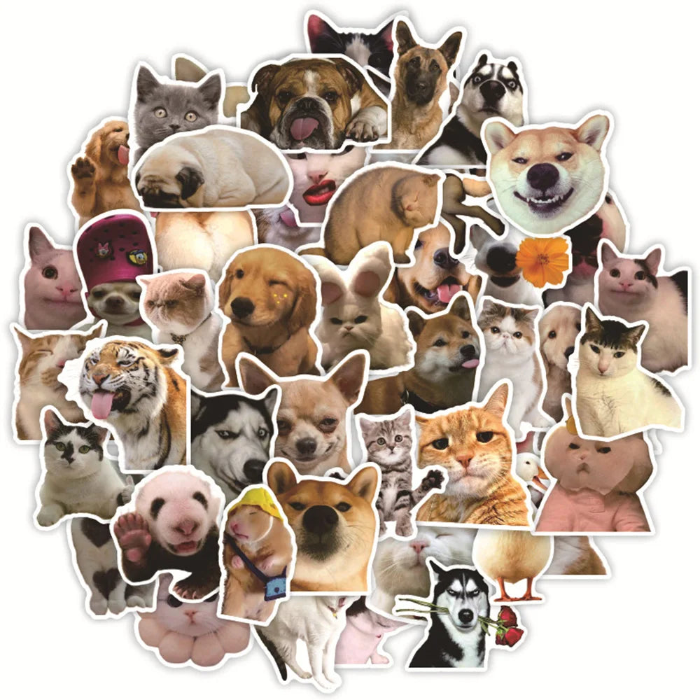 Funny Animal Cat Dog Meme Stickers Decal Pack - Waterproof for Skateboard, Laptop, Phone, Car, Motorcycle