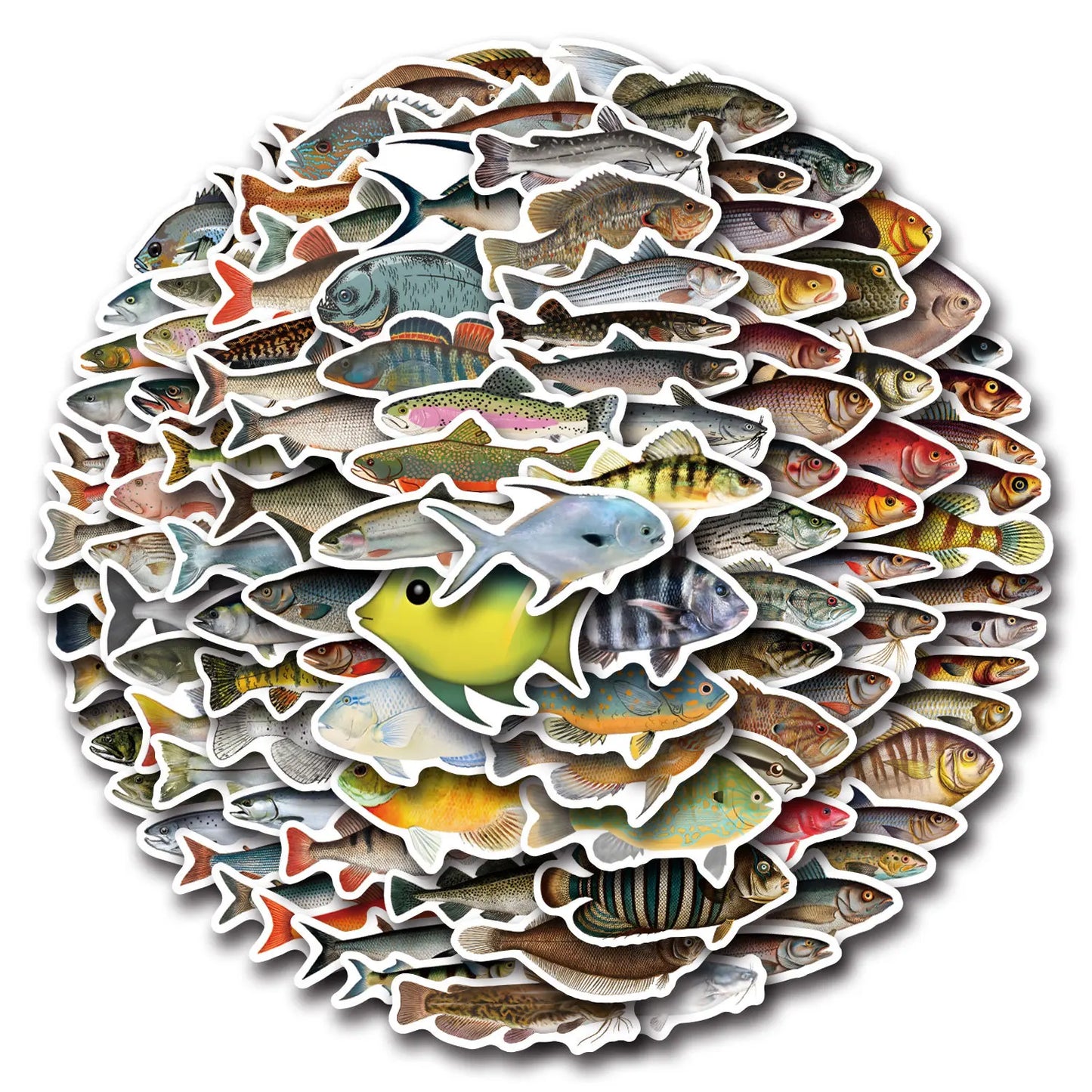 10/30/50/110PCS Realistic Fish Graffiti Stickers Aquatic Animal Sticker Kids Toys DIY Luggage Laptop Guitar Car Bike Skatboard