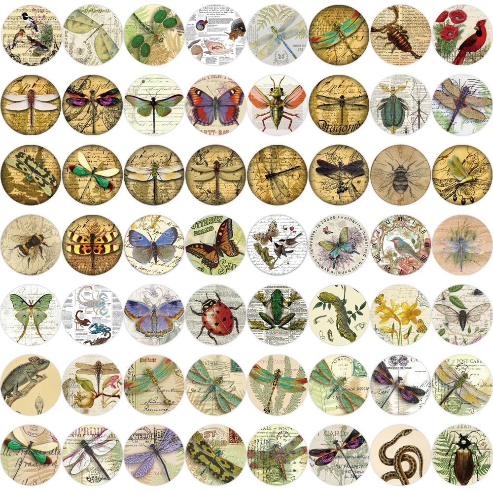 58PCS Insect Specimen Sticker Cartoon Vintage DIY Phone Laptop Luggage Skateboard Graffiti Decals Fun for Kid Stickers Toy