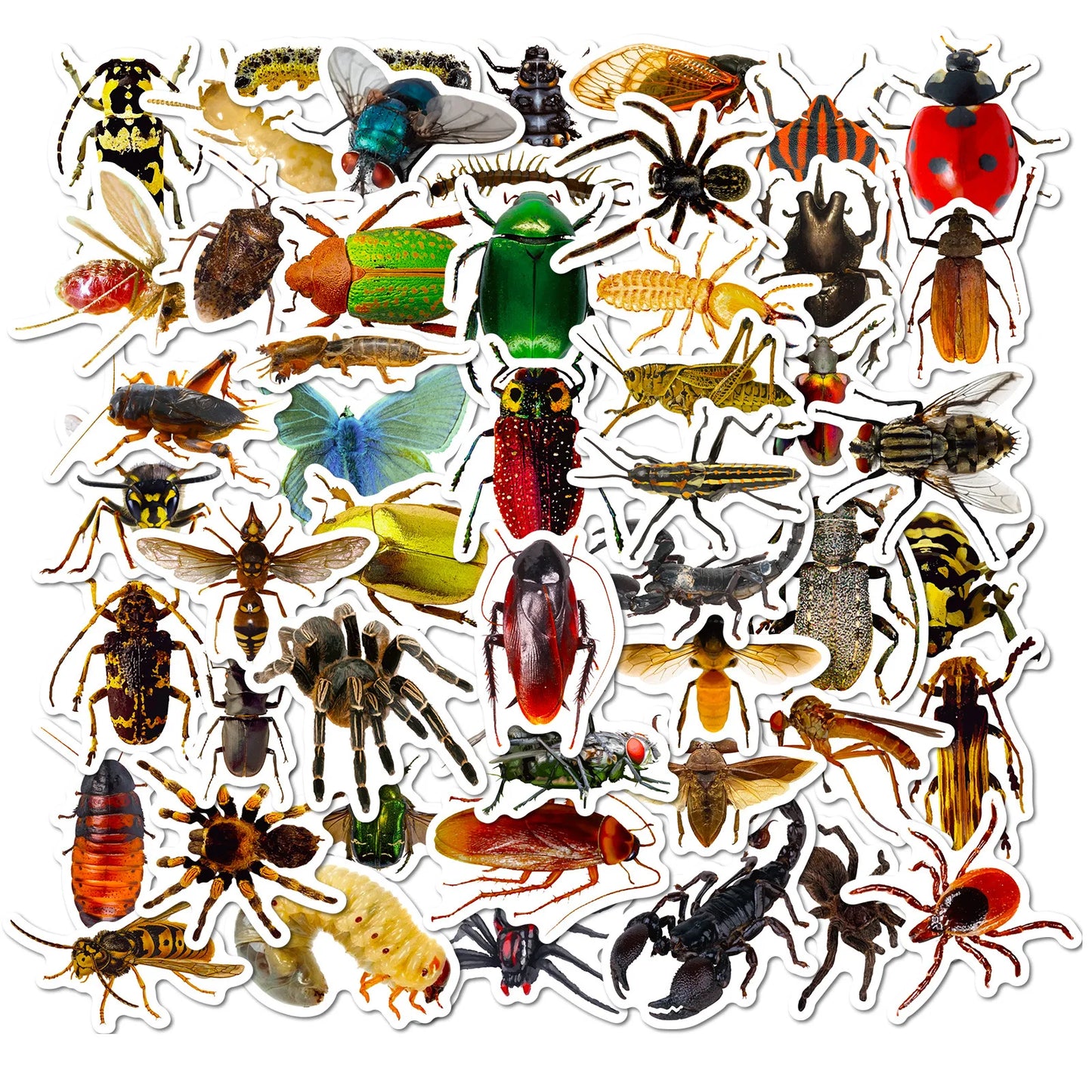 10/30/50PCS Mixed Insects Transparent Sticker Cartoon Graffiti DIY Scrapbook Stationery Laptop Guitar Bike Skateboard Decal Toy