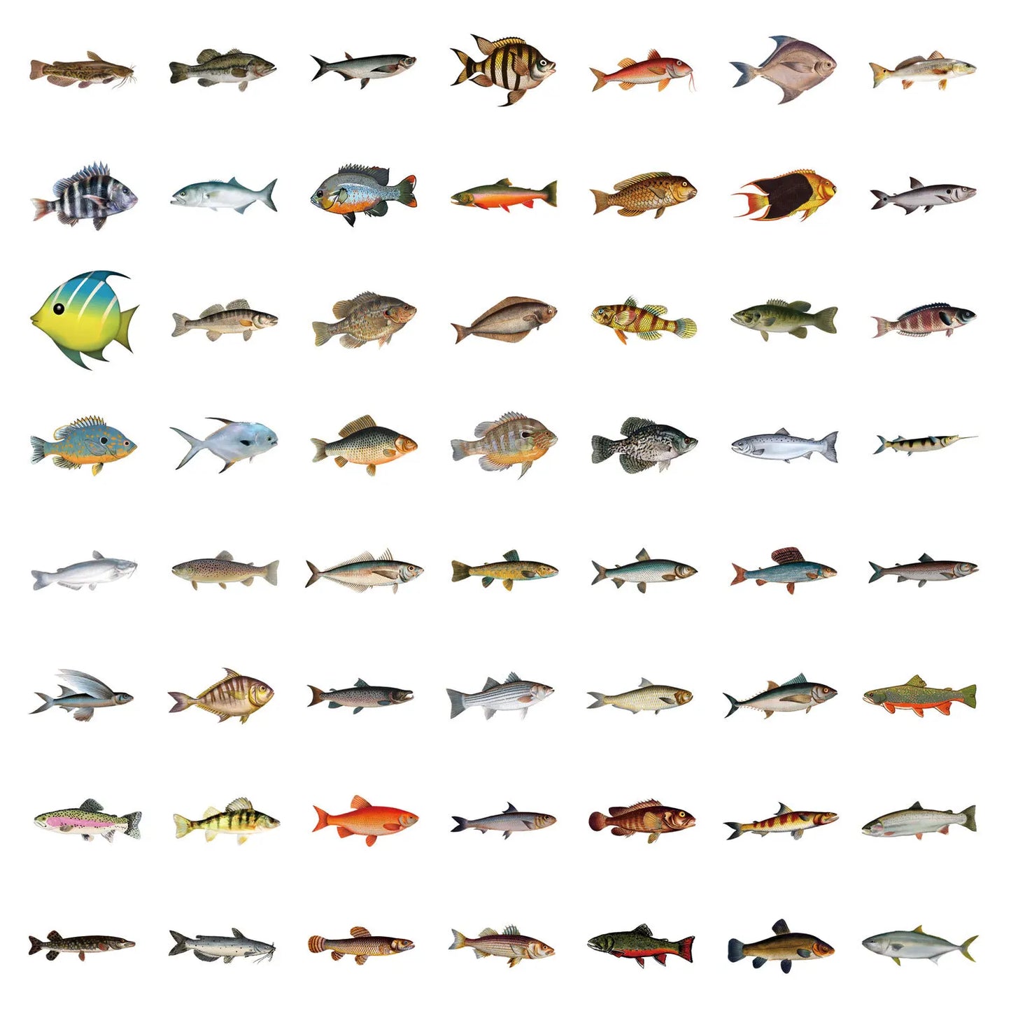 10/30/50/110PCS Realistic Fish Graffiti Stickers Aquatic Animal Sticker Kids Toys DIY Luggage Laptop Guitar Car Bike Skatboard