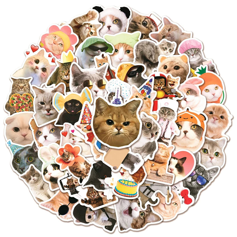 Cat MEME Funny Animal Stickers Pack - DIY Notebook Luggage Laptop Car Decals