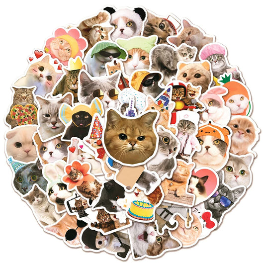 Cat MEME Funny Animal Stickers Pack - DIY Notebook Luggage Laptop Car Decals